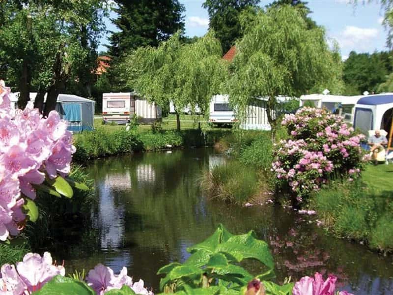 Röders‘ Park – Premium Camping